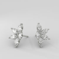 Aretes Cluster Marquise