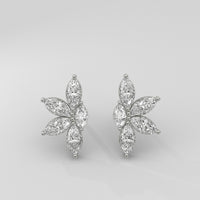 Aretes Cluster Marquise